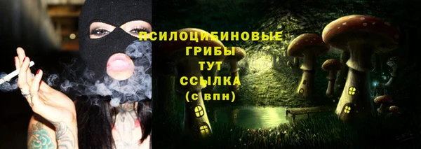 мет Балахна