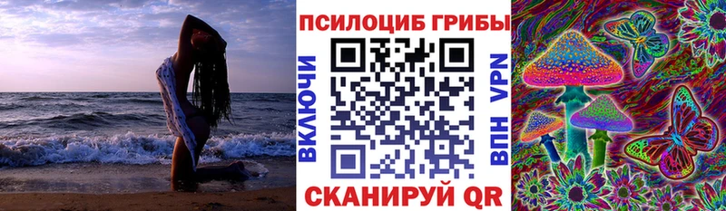 Галлюциногенные грибы Cubensis  Лабытнанги 